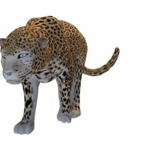 Modello 3d animale leopardo africano