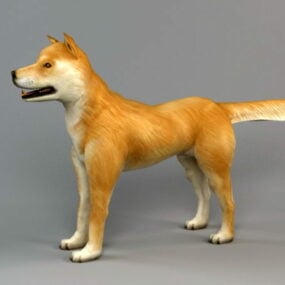 Akita Dog Biped Bones 3d model