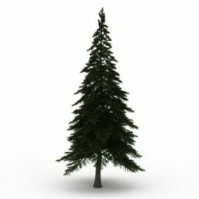 Alpine Pine Tree 3d-modell