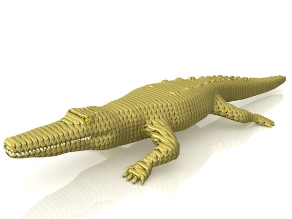 Amerikaans alligator dier