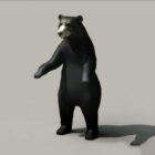 Urso Preto Americano