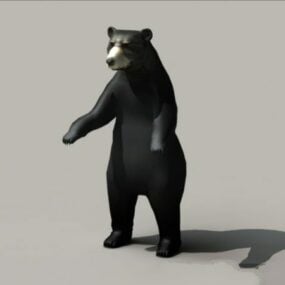 3d модель американського чорного ведмедя
