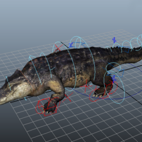 Amerikanisches Krokodil-Rig 3D-Modell