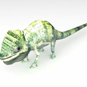 American Chameleon Animal 3d model