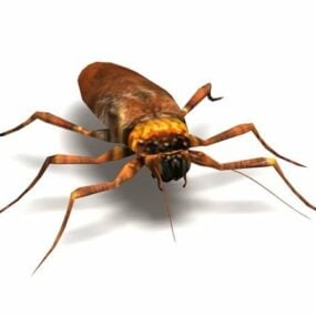 Modello 3d animale scarafaggio americano
