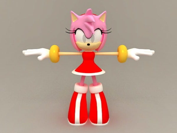 Amy Rose Sonic The Hedgehog Character