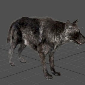 Анімована 3d модель чорного вовка