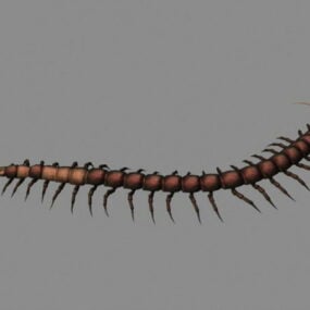 Animated Centipede 3d model