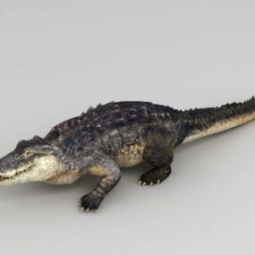 3д модель анимированного крокодила