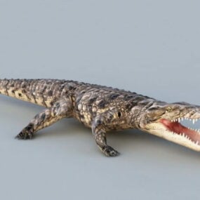 Animeret Crocodile Rig 3d-model