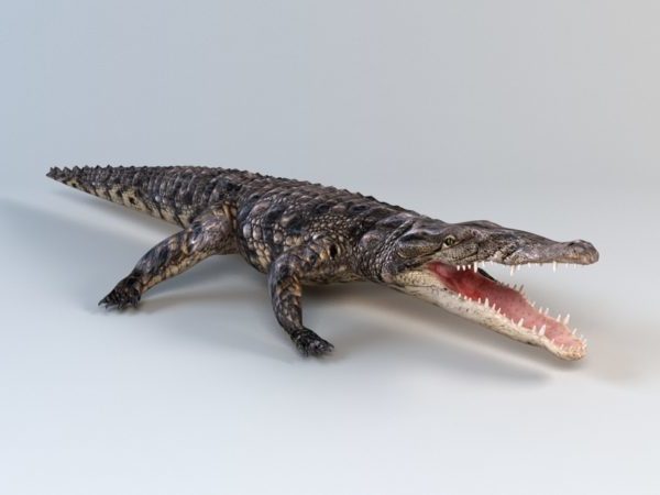 Animated Crocodile Rig