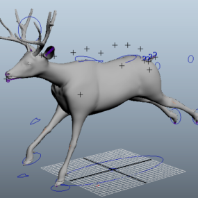 Animated Deer 3d model