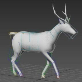 Animert Deer Rig 3d-modell