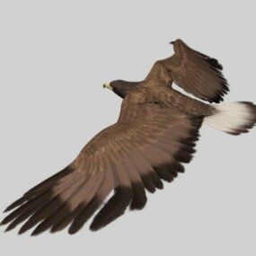 Bald Eagle Flying Bird 3d-model