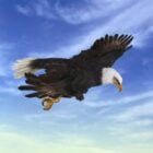 Animated Eagle Attack