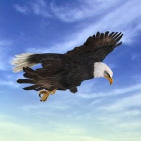 Animated Eagle Attack 3d model