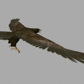 Animoitu Eagle Flying 3D-malli