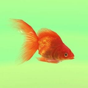 Animert Goldfish 3d-modell