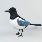 Animated Magpie Rig