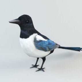 Animated Magpie Rig 3d model