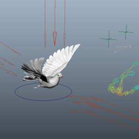Animerad Pigeon Rig 3d-modell