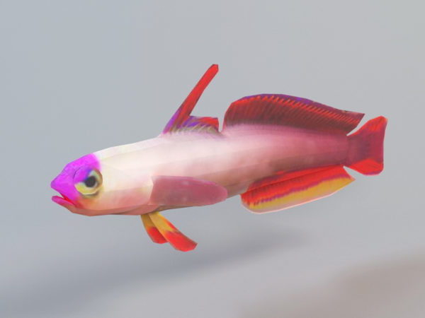 Animated Purple Fish Rig
