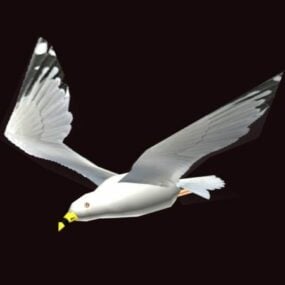 Animated Seagull Rig 3d model