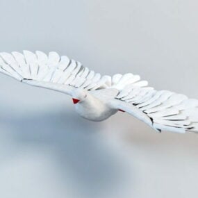 Animated White Pigeon Flying Rig 3d model