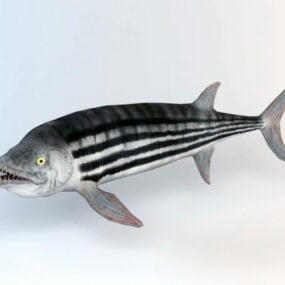 Animert Xiphactinus Fish Rig 3d-modell