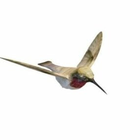 Anna Hummingbird Animal 3D-malli