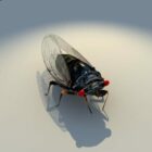 Annual Cicada Animal