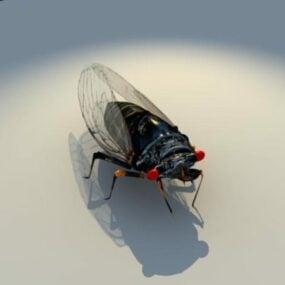 Modelo anual Cicada Animal 3d
