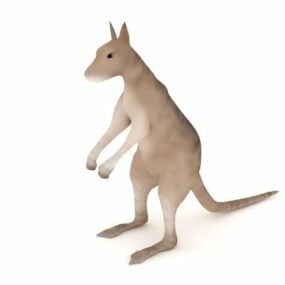 ออสเตรเลีย Antilopine Kangaroo โมเดล 3 มิติ