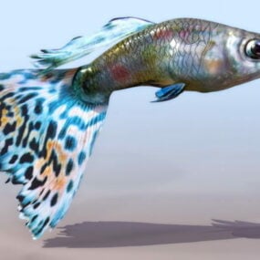 جمال حوض السمك الأسماك نموذج 3D