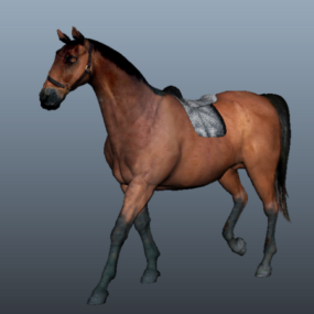 3д модель животного Арабская лошадь