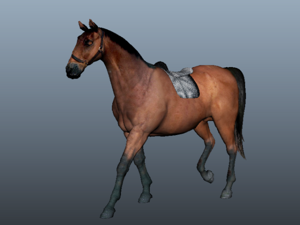 Animal Arabian Horse Free 3d Model - . - Open3dModel