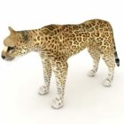 Arabisk leopard dyr