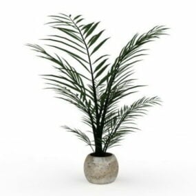 Areca Palm Fern Plant 3d-modell