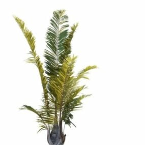Modello 3d della palma Areca
