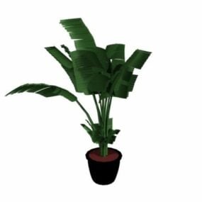 Artificial Potted Banana Tree 3d model