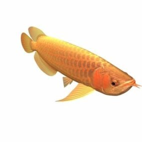 एशियाई अरोवाना मछली पशु 3डी मॉडल