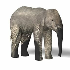 3д модель азиатского слона