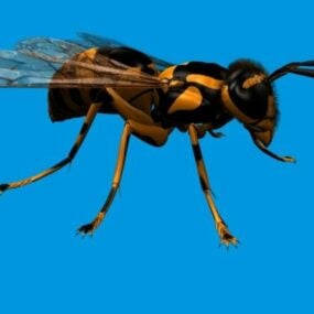 Mô hình 3d động vật ong bắp cày khổng lồ châu Á