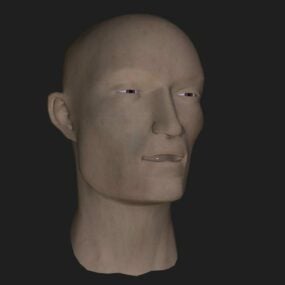 Asian Man Head Character 3d model