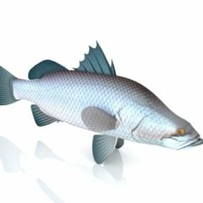 Asian Sea Bass Fish 3d model