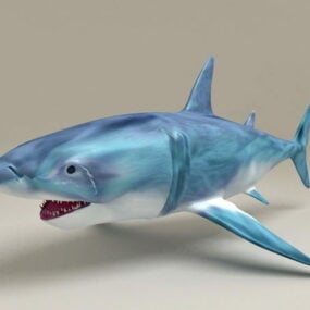 अटलांटिक महासागर ब्लू शार्क 3डी मॉडल