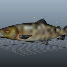 Atlantic Salmon Rig 3d model