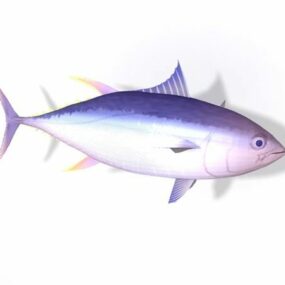 Sea Atlantic Bluefinn Tuna Fish 3d-model