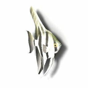 Atlantisches Spatenfisch-Tier-3D-Modell