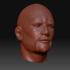 Malha esculpida de cabeça de Átila Modelo 3D